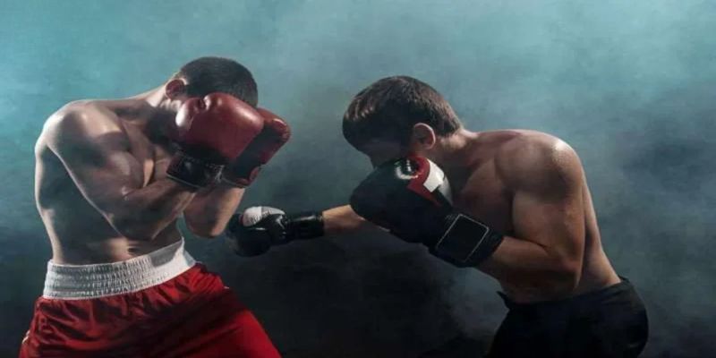 Sơ lược về hình thức giải trí cá cược boxing <span style=